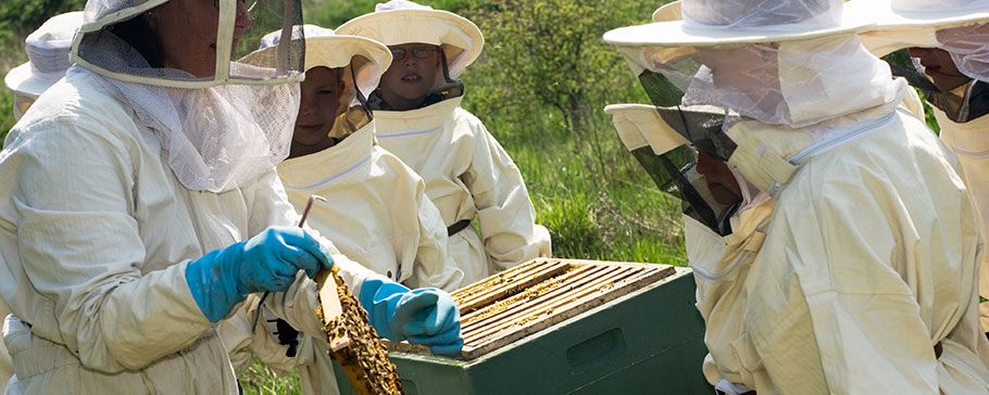 Biavlere ved bistade